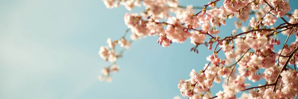 Dani21291's profile banner image