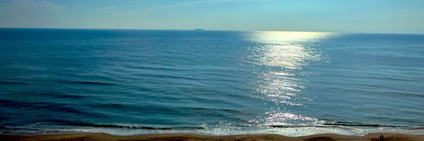 MalwareRE Profile Banner