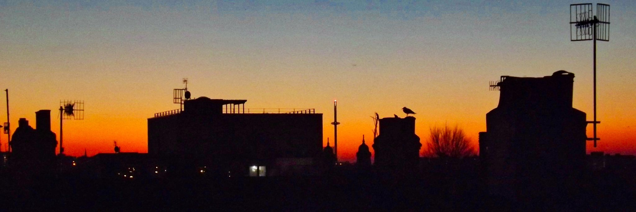 Sandra Clinton banner