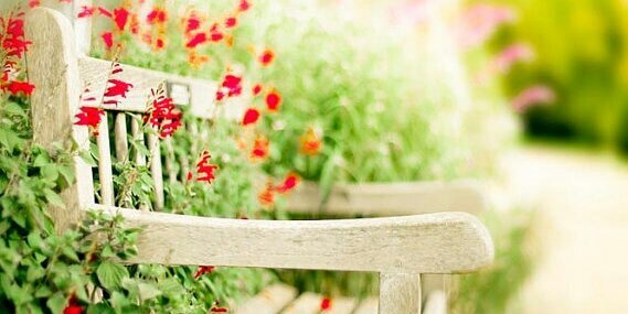 pinkcafe0's profile banner image