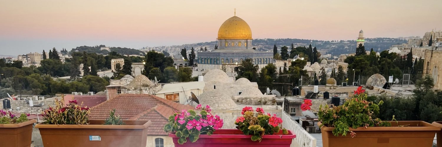 Nariman Bahaa El Deen 𓂆 🇵🇸's banner