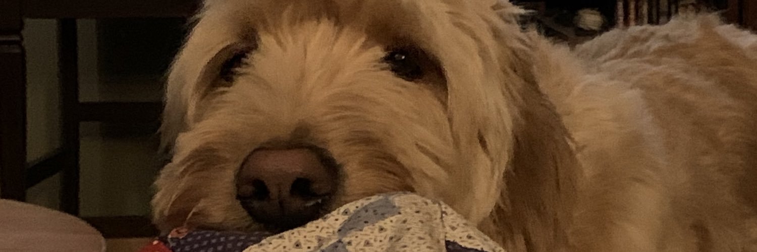 Shannon Stone banner