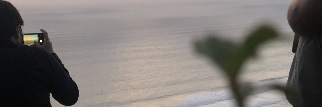 dickydimdim's profile banner image