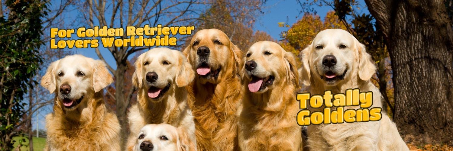 TotallyGoldens's profile banner image
