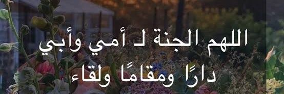 11emad's profile banner image