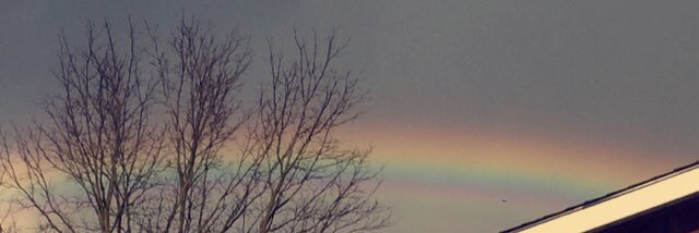 mikaylaD07's profile banner image