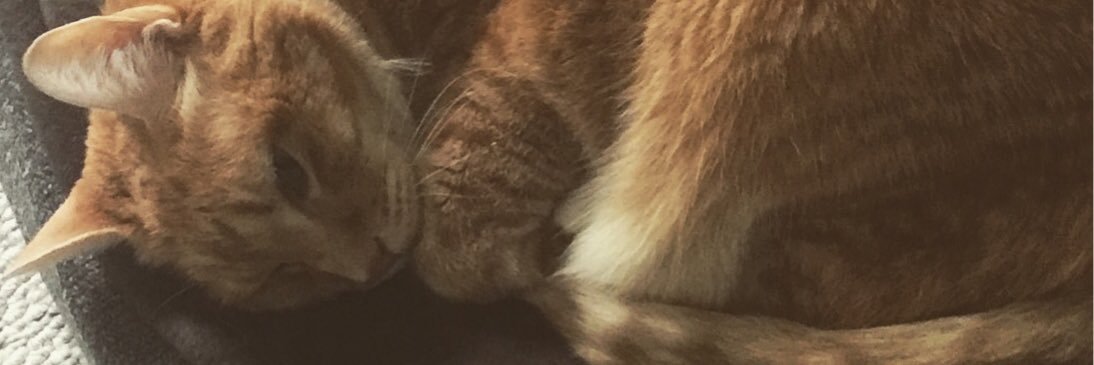 AutumLovatic's profile banner image