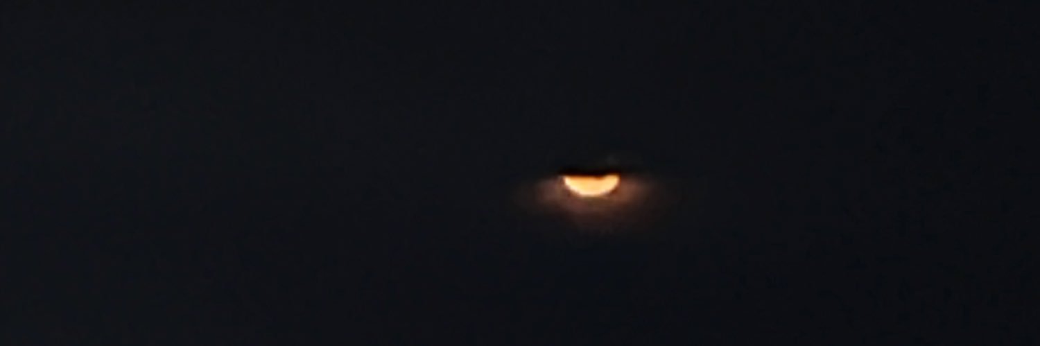 _chaneeelv's profile banner image