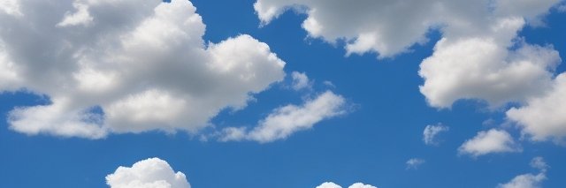 erica banner