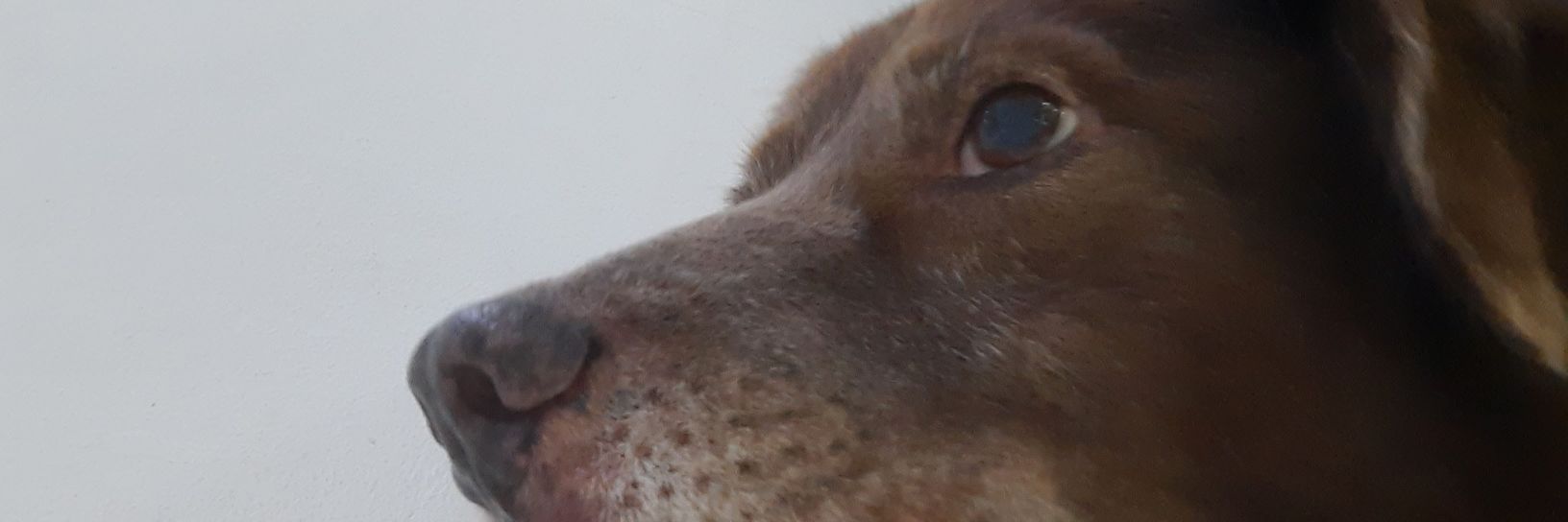 Yane3t's profile banner image