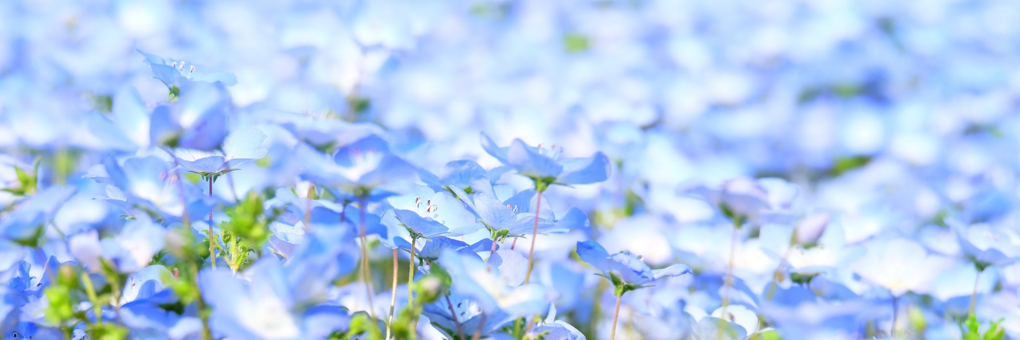 namisuke0720's profile banner image