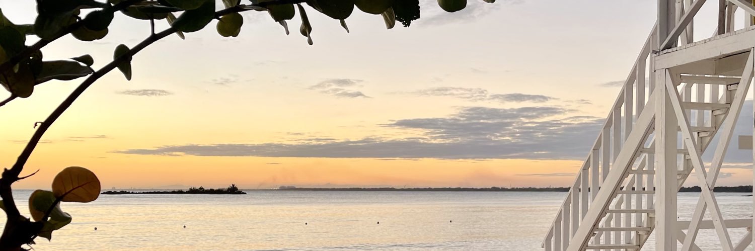 luciegrblt's profile banner image