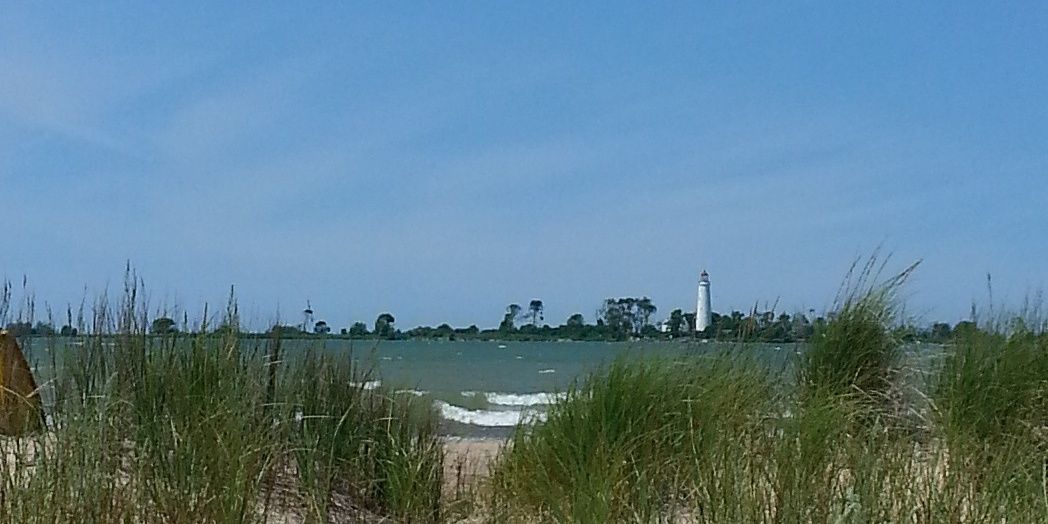 Meghan Alexander banner