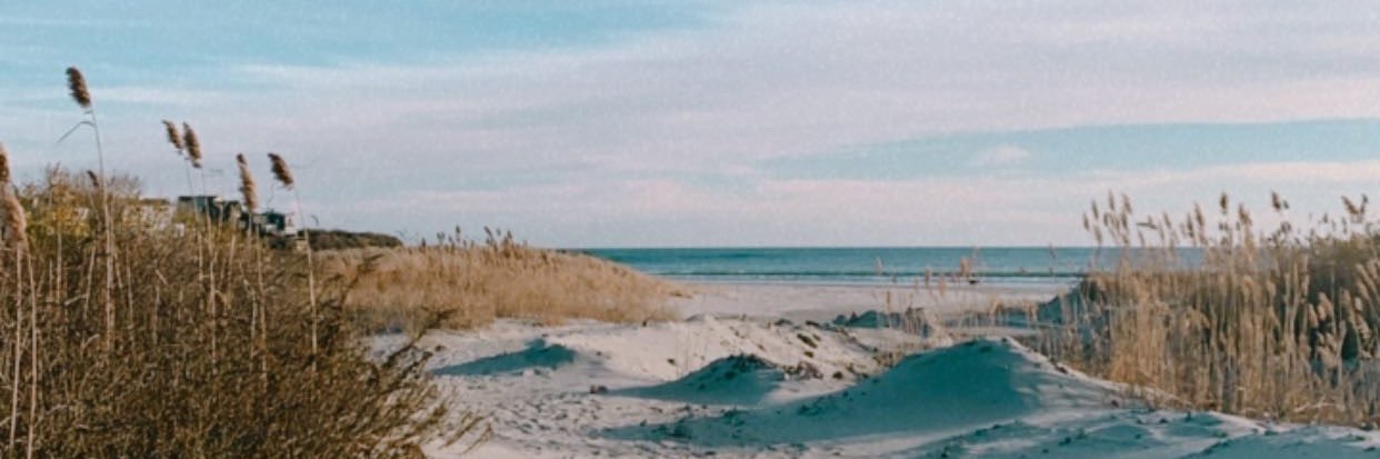 brindleyrospars's profile banner image