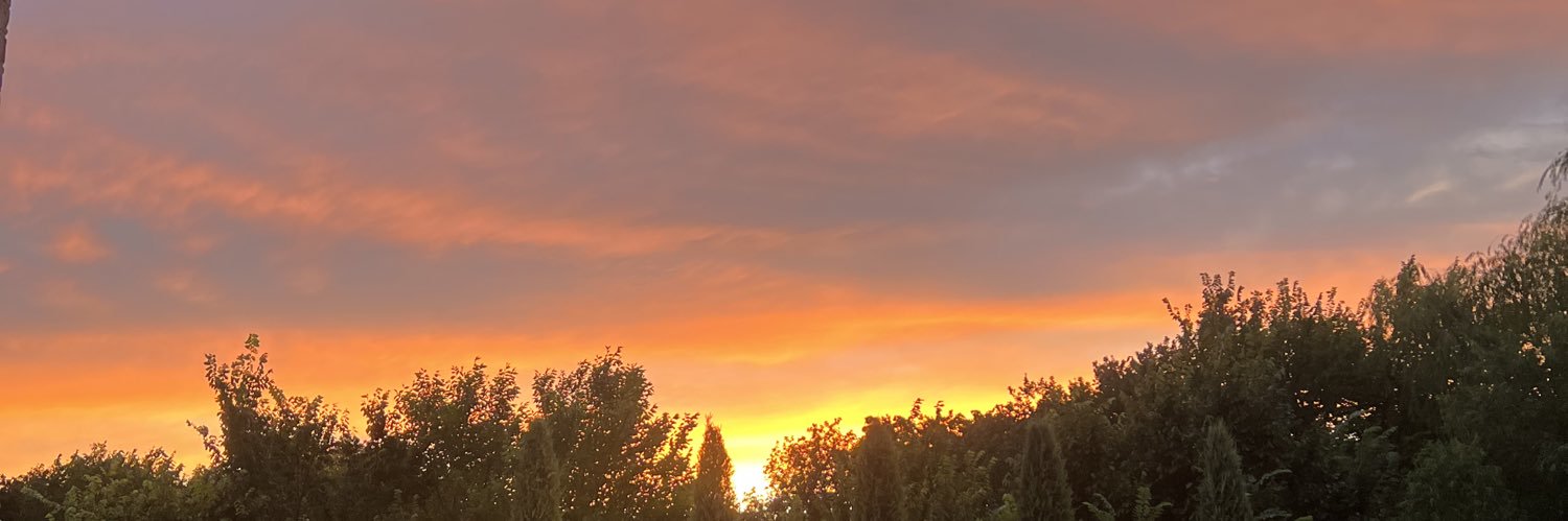 Timmypat1's profile banner image