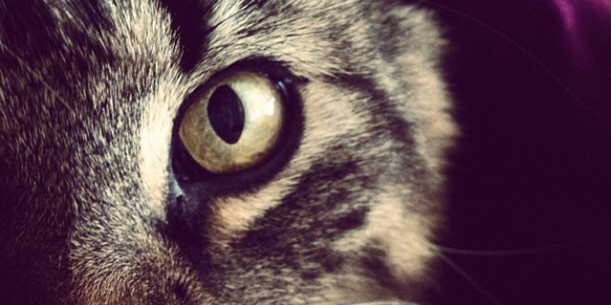 Natalieeoliviaa's profile banner image