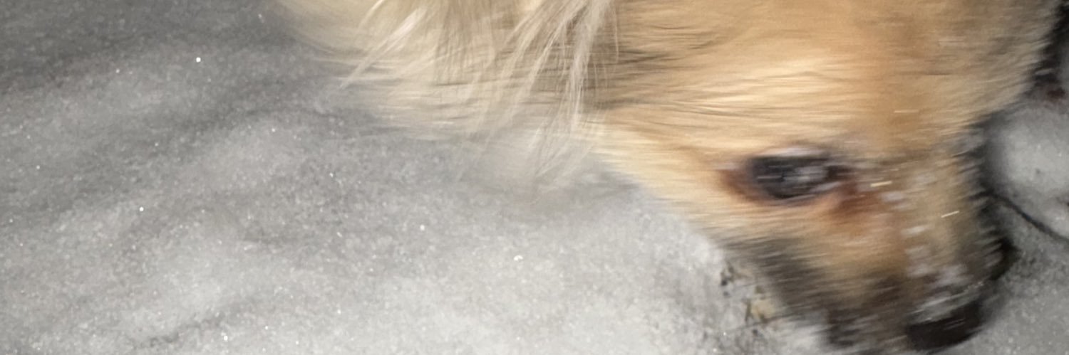3 banner