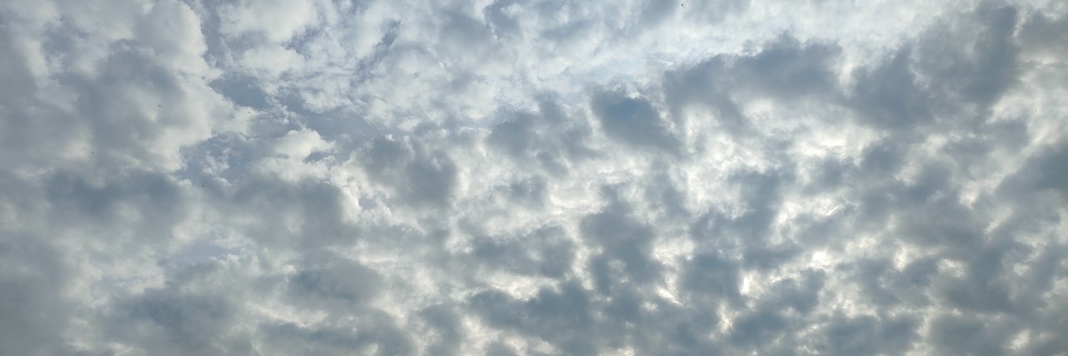 Z banner