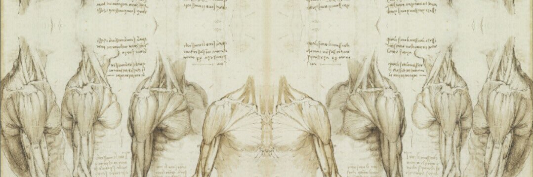 9holmquist9's profile banner image