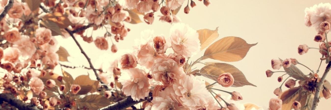 susiegardner91's profile banner image