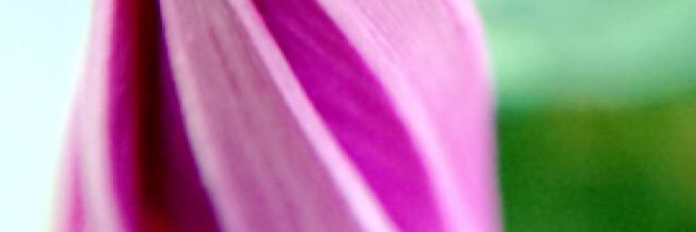 GoodLuckKristen's profile banner image