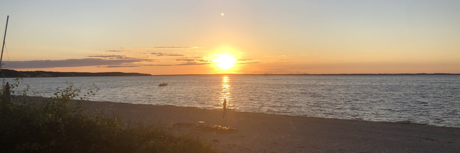 Pam Walsh, MD banner