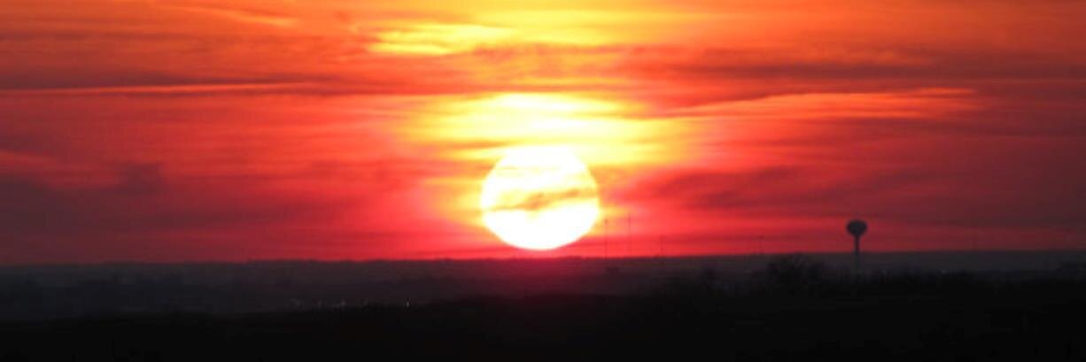 Ted_Hammond's profile banner image