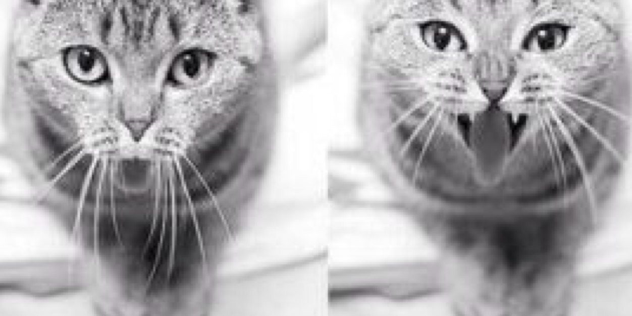 ___STEWART__'s profile banner image
