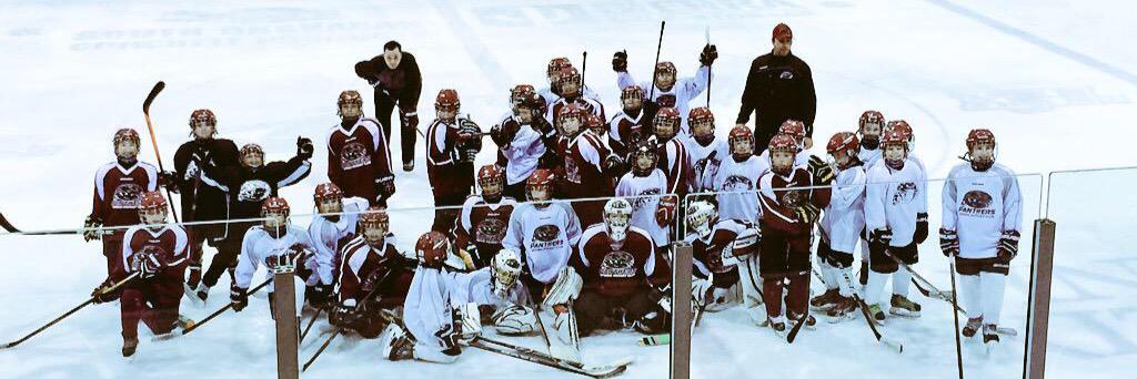 van_panthers's profile banner image