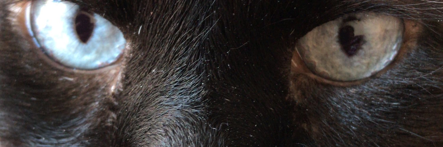_Henrimelo's profile banner image