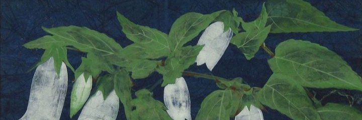 CatSylvatica's profile banner image