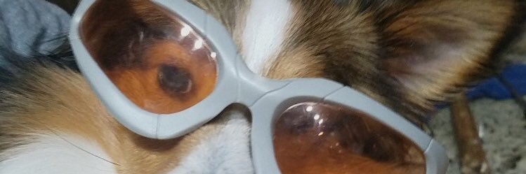 calebS_15's profile banner image