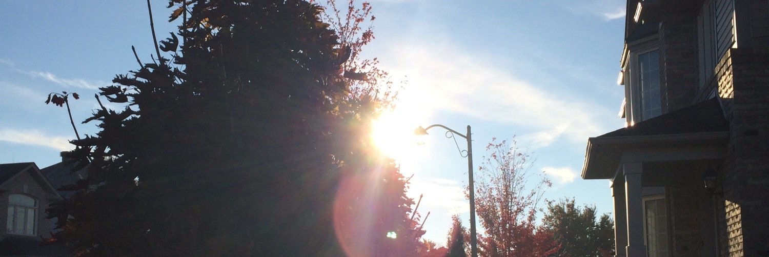Reilly_germon's profile banner image