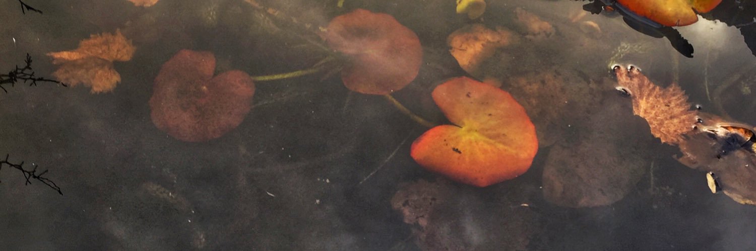 ruth_e0's profile banner image