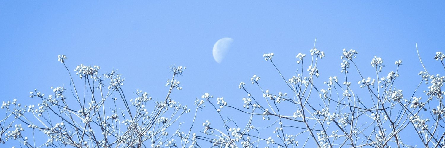 ひぃ's banner