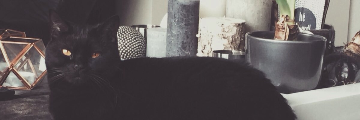 daantjeeeex's profile banner image
