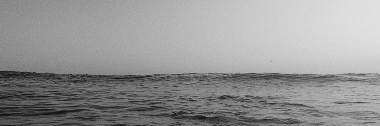 Edward Grosse banner