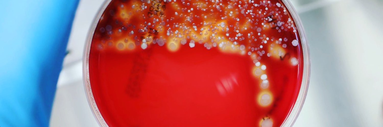 hudaghori's profile banner image