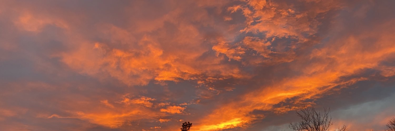 jenebjo's profile banner image