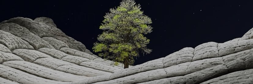 SoudsCircular's profile banner image