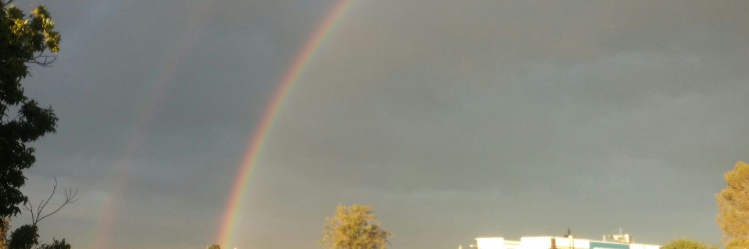 mbluefirefly's profile banner image