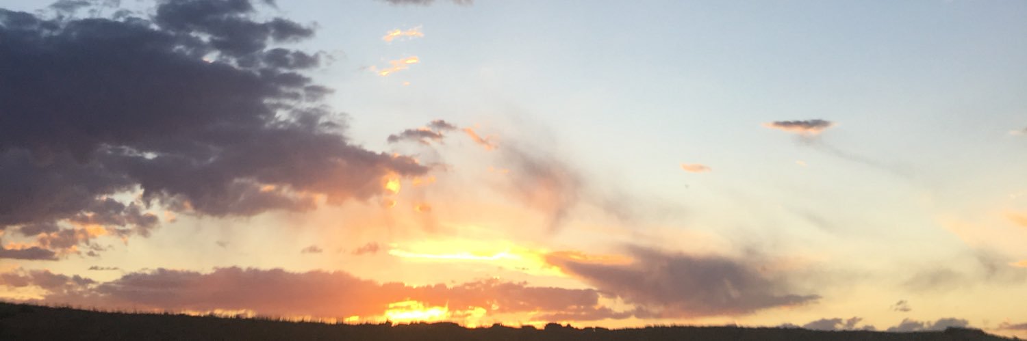 CorbonSheppard's profile banner image