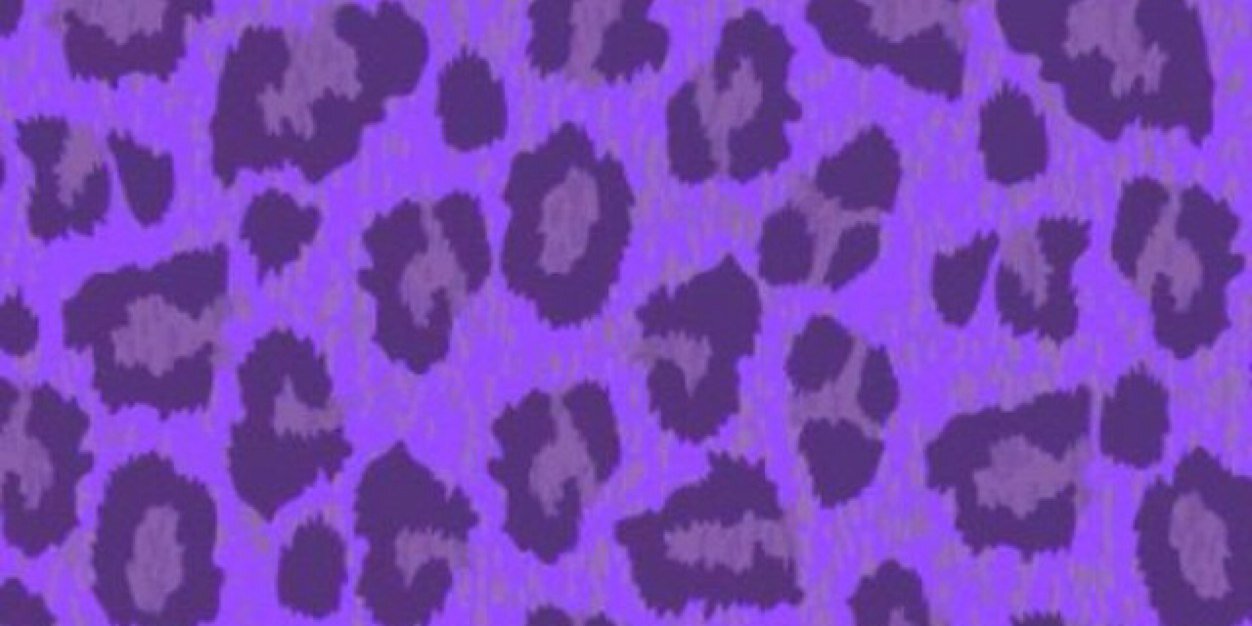 Sho________nr's profile banner image