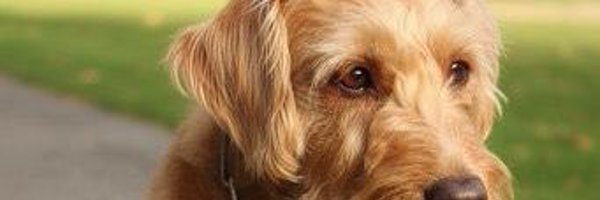 mariplins58 Profile Banner