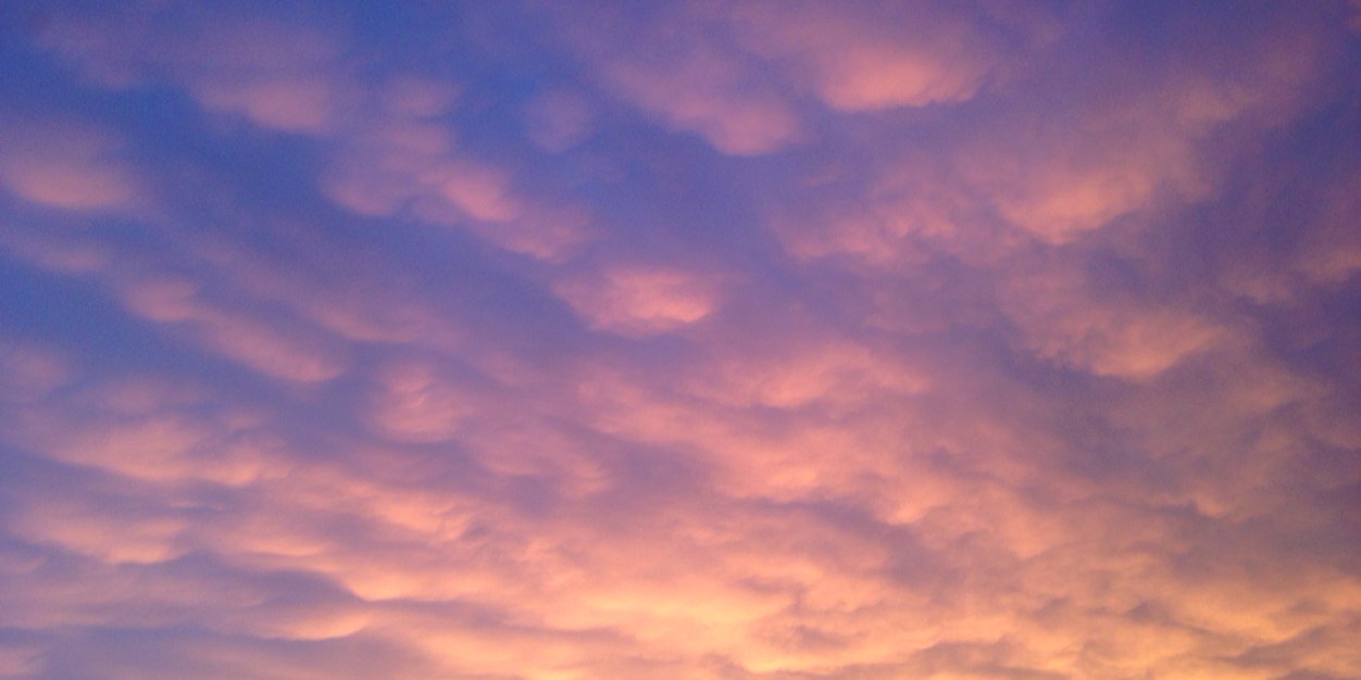 aline_mannes's profile banner image