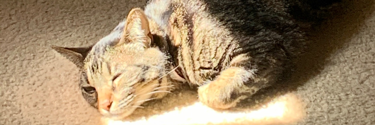 tbrion's profile banner image