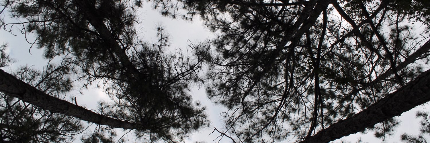 austinAV24's profile banner image
