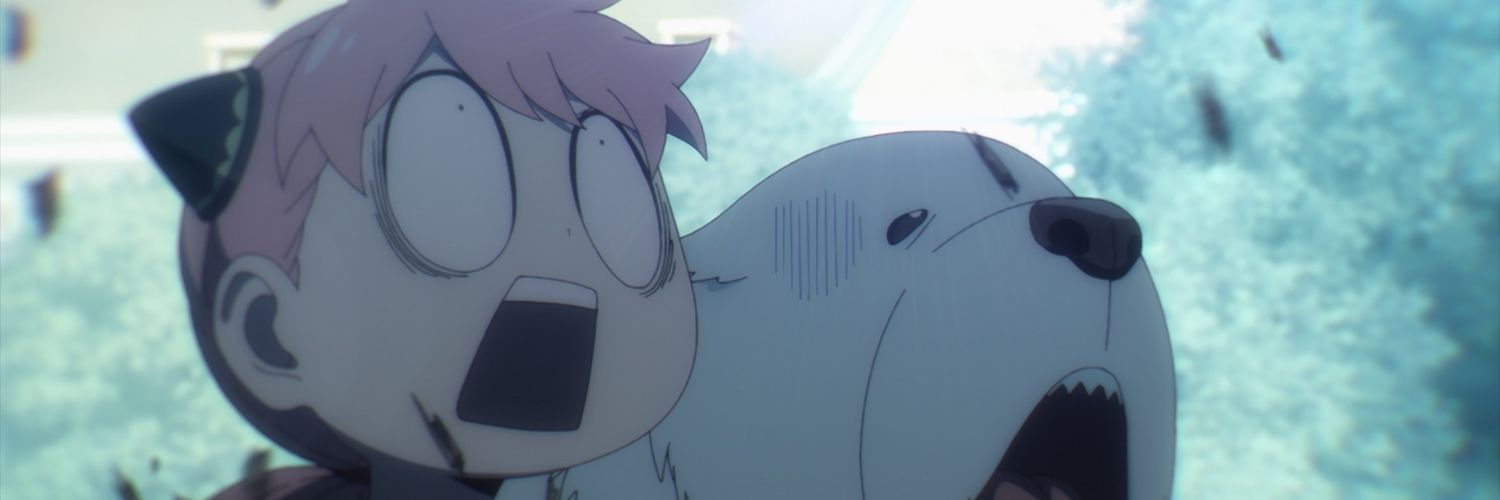 luissaavedraDG's profile banner image