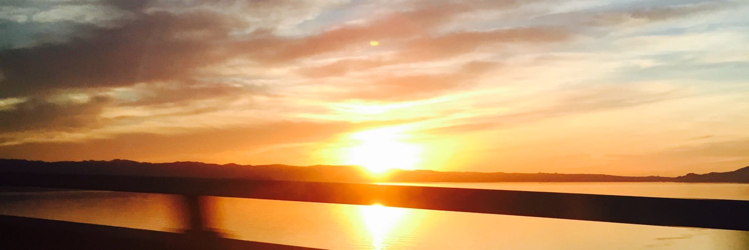 CamilleNaea's profile banner image