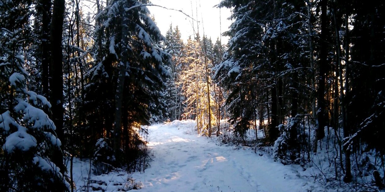 Enric Prats Bacardit banner